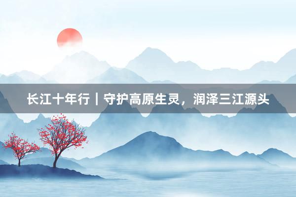 长江十年行｜守护高原生灵，润泽三江源头
