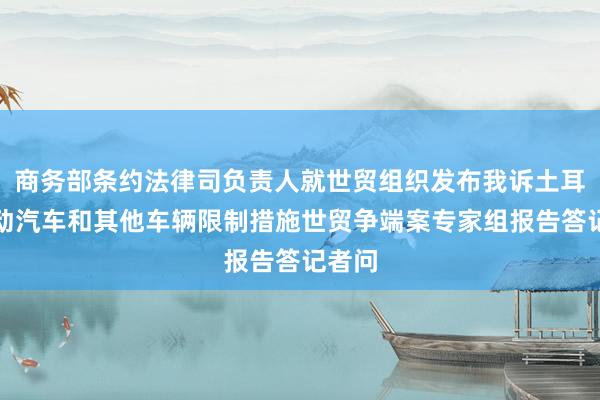商务部条约法律司负责人就世贸组织发布我诉土耳其电动汽车和其他车辆限制措施世贸争端案专家组报告答记者问