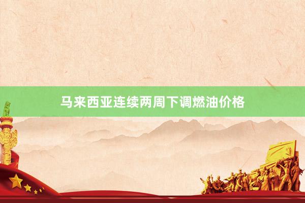 马来西亚连续两周下调燃油价格