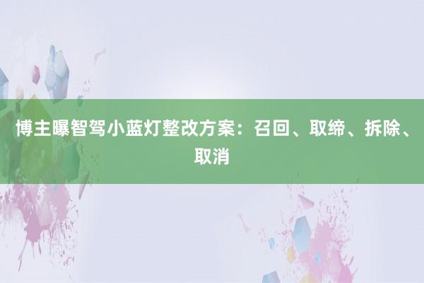 博主曝智驾小蓝灯整改方案：召回、取缔、拆除、取消