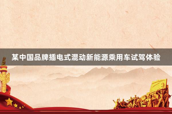 某中国品牌插电式混动新能源乘用车试驾体验