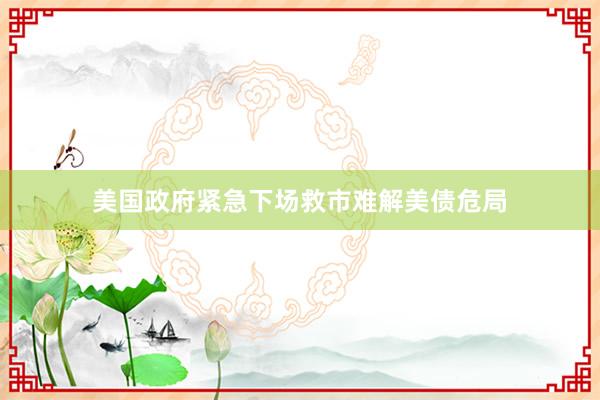美国政府紧急下场救市难解美债危局