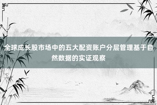 全球成长股市场中的五大配资账户分层管理基于自然数据的实证观察