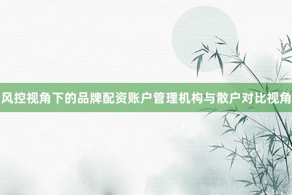 风控视角下的品牌配资账户管理机构与散户对比视角