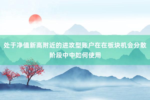 处于净值新高附近的进攻型账户在在板块机会分散阶段中中如何使用