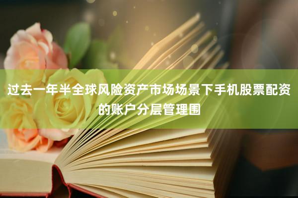 过去一年半全球风险资产市场场景下手机股票配资的账户分层管理围