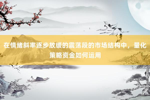 在情绪斜率逐步放缓的震荡段的市场结构中，量化策略资金如何运用