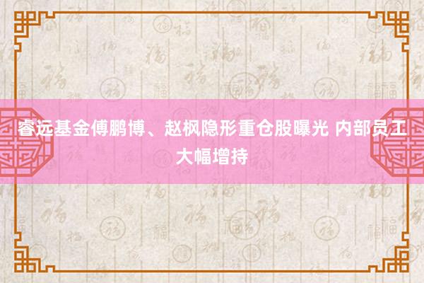 睿远基金傅鹏博、赵枫隐形重仓股曝光 内部员工大幅增持