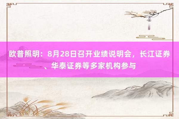 欧普照明：8月28日召开业绩说明会，长江证券、华泰证券等多家机构参与