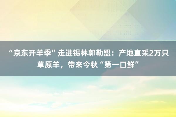 “京东开羊季”走进锡林郭勒盟：产地直采2万只草原羊，带来今秋“第一口鲜”