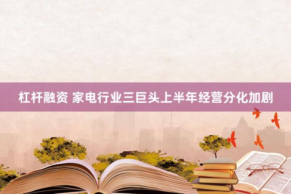 杠杆融资 家电行业三巨头上半年经营分化加剧
