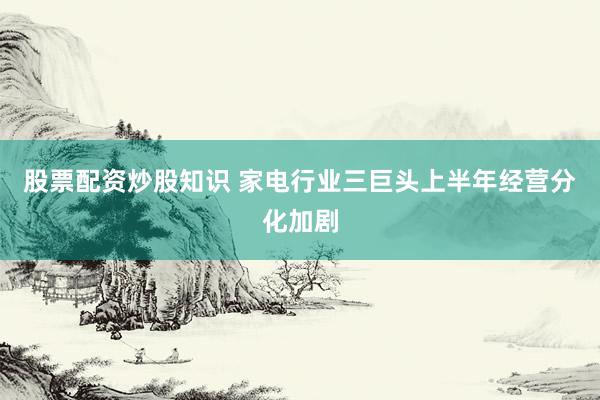 股票配资炒股知识 家电行业三巨头上半年经营分化加剧
