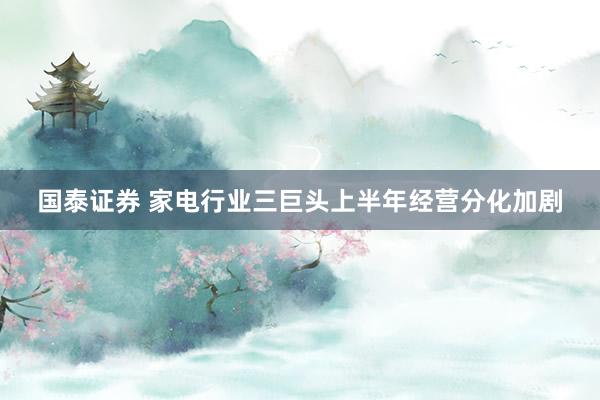 国泰证券 家电行业三巨头上半年经营分化加剧