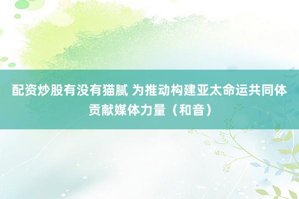 配资炒股有没有猫腻 为推动构建亚太命运共同体贡献媒体力量（和音）