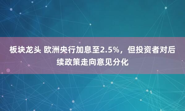 板块龙头 欧洲央行加息至2.5%，但投资者对后续政策走向意见分化