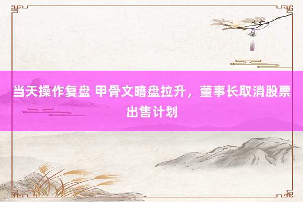 当天操作复盘 甲骨文暗盘拉升，董事长取消股票出售计划