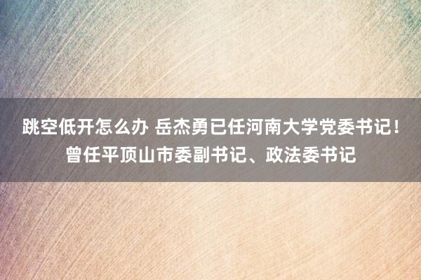跳空低开怎么办 岳杰勇已任河南大学党委书记！曾任平顶山市委副书记、政法委书记