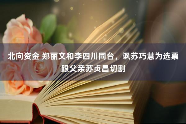 北向资金 郑丽文和李四川同台，讽苏巧慧为选票跟父亲苏贞昌切割