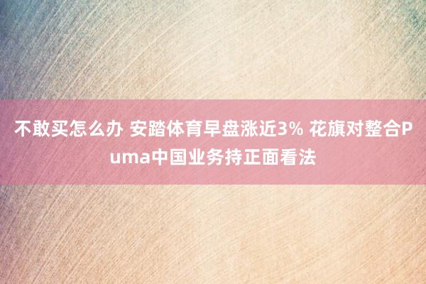 不敢买怎么办 安踏体育早盘涨近3% 花旗对整合Puma中国业务持正面看法