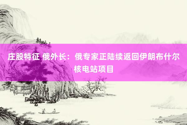 庄股特征 俄外长：俄专家正陆续返回伊朗布什尔核电站项目