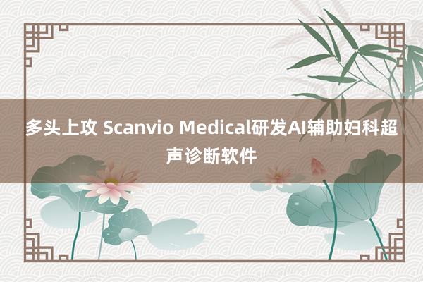 多头上攻 Scanvio Medical研发AI辅助妇科超声诊断软件
