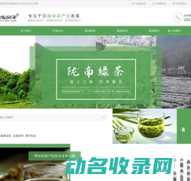 茶叶种植