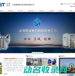 山东丽能电力技术股份有限公司